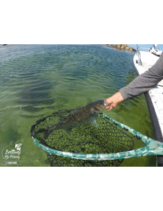 Epuisette de bateau... 2