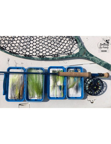 Fishpond Nomad™ Mid-Length Boat Net -...