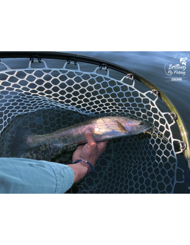 Fishpond Nomad™ Boat Net - Riverbed Camo