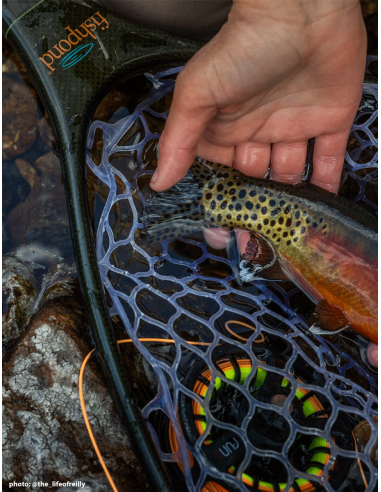 Fishpond Nomad™ Native Net - Original...