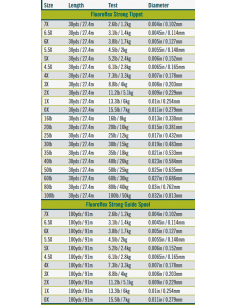 Fil RIO Fluoroflex Strong... 2