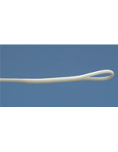 Royal Wulff Triangle Taper Floating...