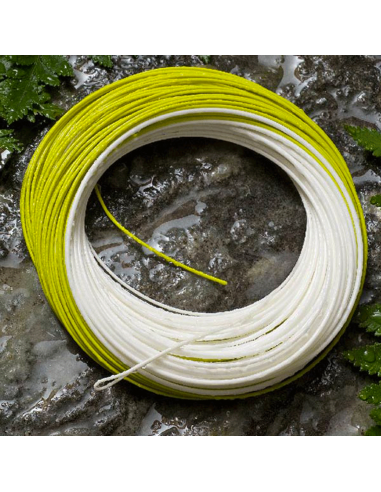 Royal Wulff Triangle Taper Plus...