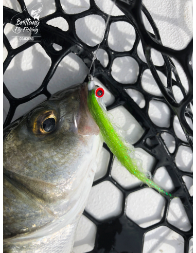 Brittany Fly Fishing “Sea Bass Special” knotted tapered leaders