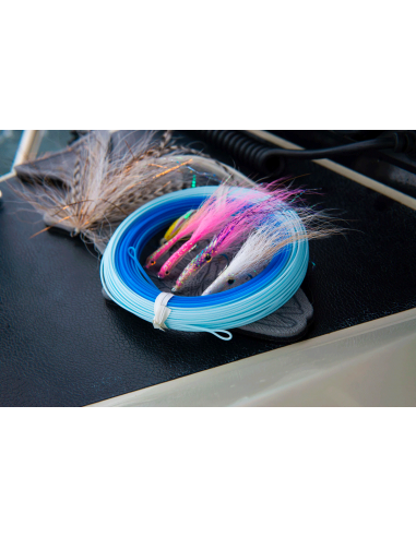 Cortland Striped Bass Blitz Cold Salt...