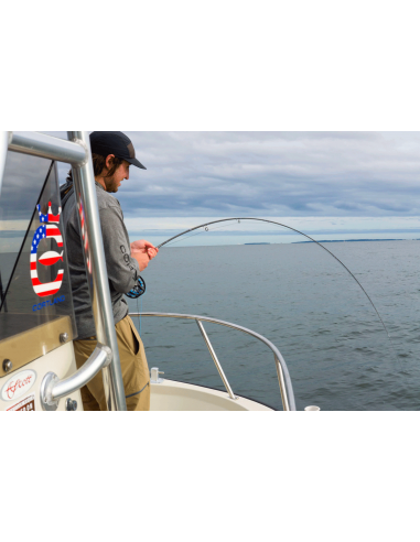 Soie Cortland “spéciale bar” à pointe...