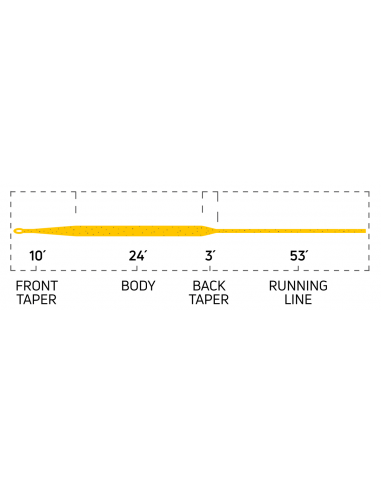 Soies Cortland 444 Sylk profil WF