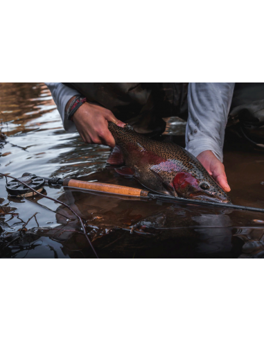 Moulinets Cortland Crown Series &...