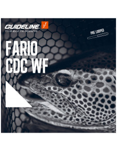Soie Guideline Fario CDC WF... 2