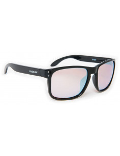 Guideline Coastal Polarized... 2