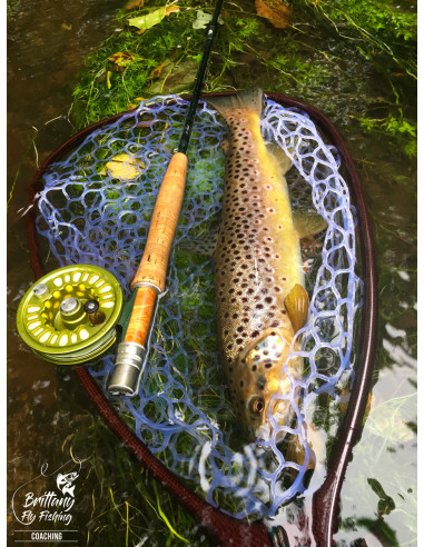 Gloves & Stripping Guards – Tailwaters Fly Fishing