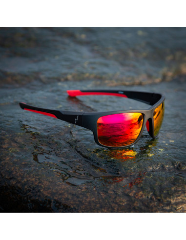 Guideline Experience Polarized...