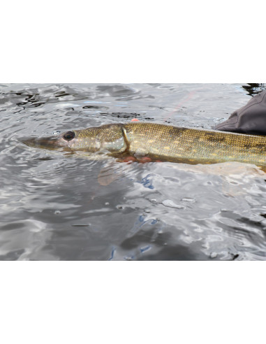 Fulling Mill pike tube fly wiggle...