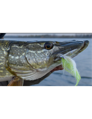 Bas de ligne Fulling Mill armé pour...