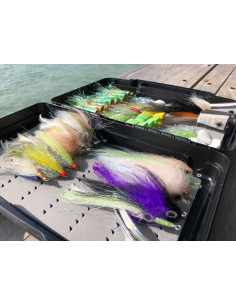 FMF NYAP Black (Not Your... 2