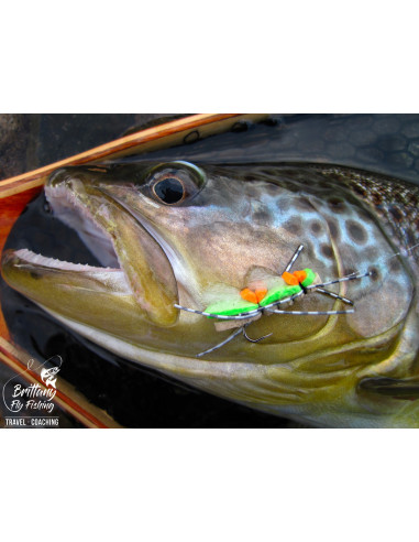 Trout Tight Quarters “The Léguer”...