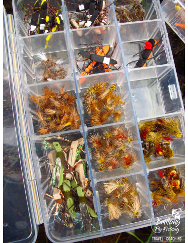 Canne à mouche Trout Tight Quarters...