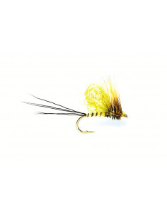 Mayfly mouche de mai  Loopwing