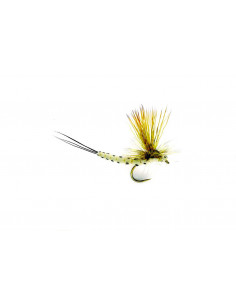 Mohican Mayfly sans...