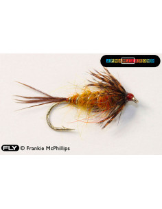 Nymphe de mouche de mai...