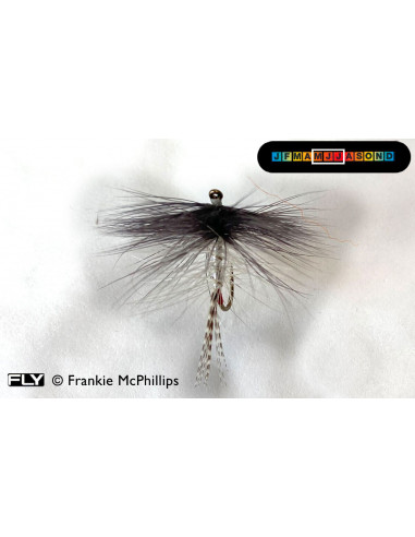 Spent de l’Inny (Inny spent)