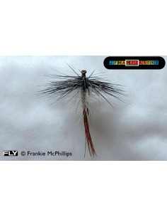 Simple Spent (Deery) 2