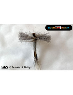 Aero Wing Spent Gnat