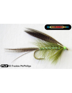 Pearly Dabbler Longshank...