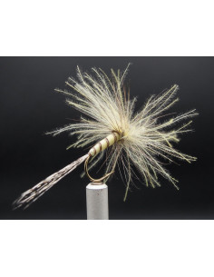 Mai CDC Florian M213