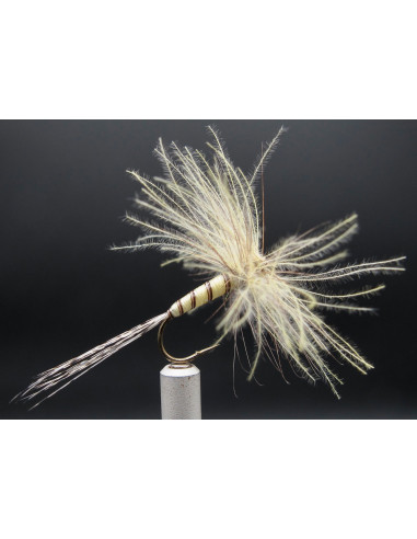 Mai CDC Florian M213