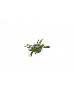 Micro Crabe Flexo Olive...