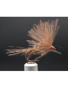 Ephémère CDC Kaki Florian C9K