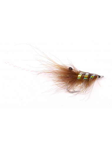 Guideline Runar's CDC Reke Shrimp Olive