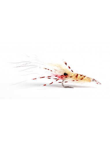 Best 16 European seabass shrimp flies kit made by Brittany Fly