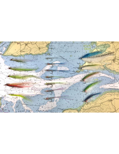 Kit des 17 meilleures...