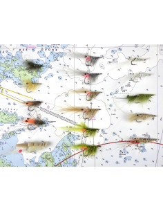 Kit des 16 meilleures...