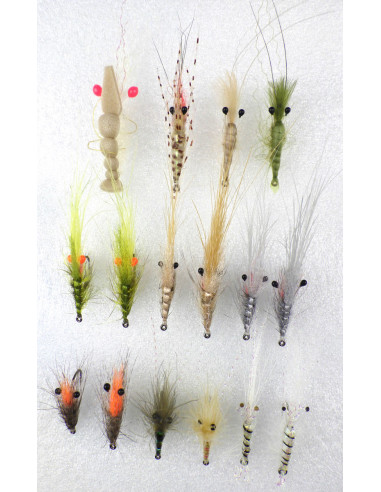 Kit des 16 meilleures mouches...