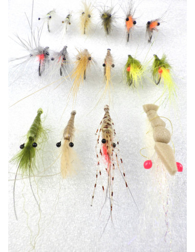 Kit des 16 meilleures mouches...