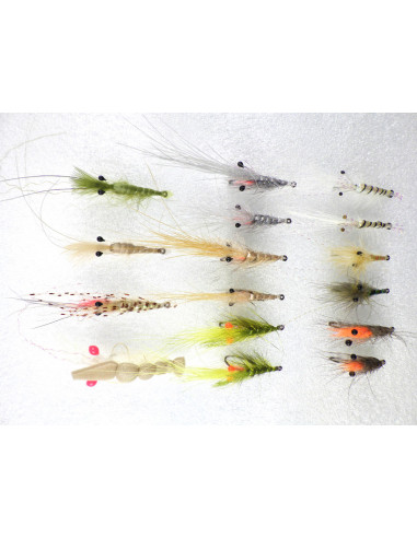 Kit des 16 meilleures mouches...