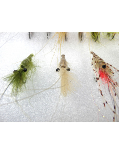 Kit des 16 meilleures mouches...