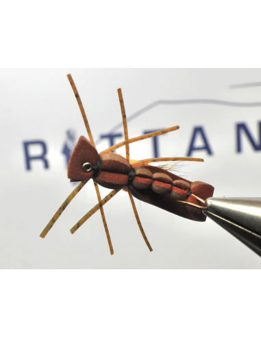 Fat Albert Brown/Claret BFF™