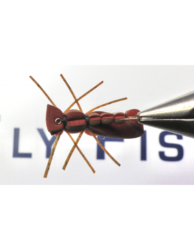 Fat Albert Marron/Claret BFF™