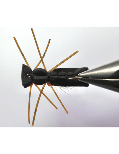 Fat Albert Noir BFF™