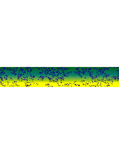 Doigtiers de stripping Wingo Eaux Salées