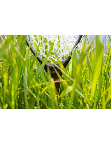 Fishpond Nomad™ Canyon Net