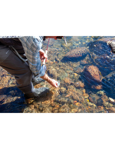 Thermomètre Digital Fishpond Riverkeeper