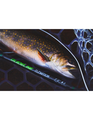 Cannes à mouche Guideline Elevation...