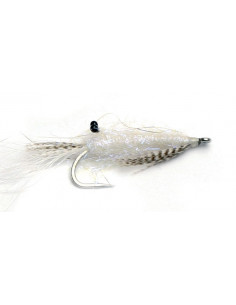 Guideline White Shrimp