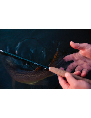 Winston Rod Co. Pure 2 Fly Rods