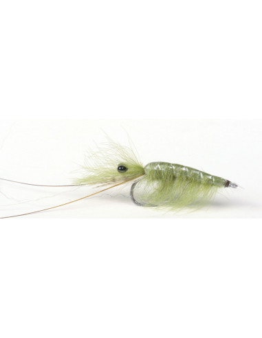 Guideline Olive CDC Shrimp